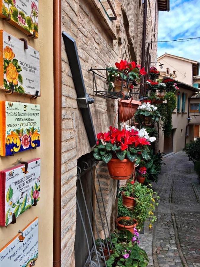 Appartamento Palma Спело Екстериор снимка
